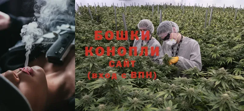 Шишки марихуана LSD WEED  дарк нет Telegram  Апшеронск  kraken сайт 